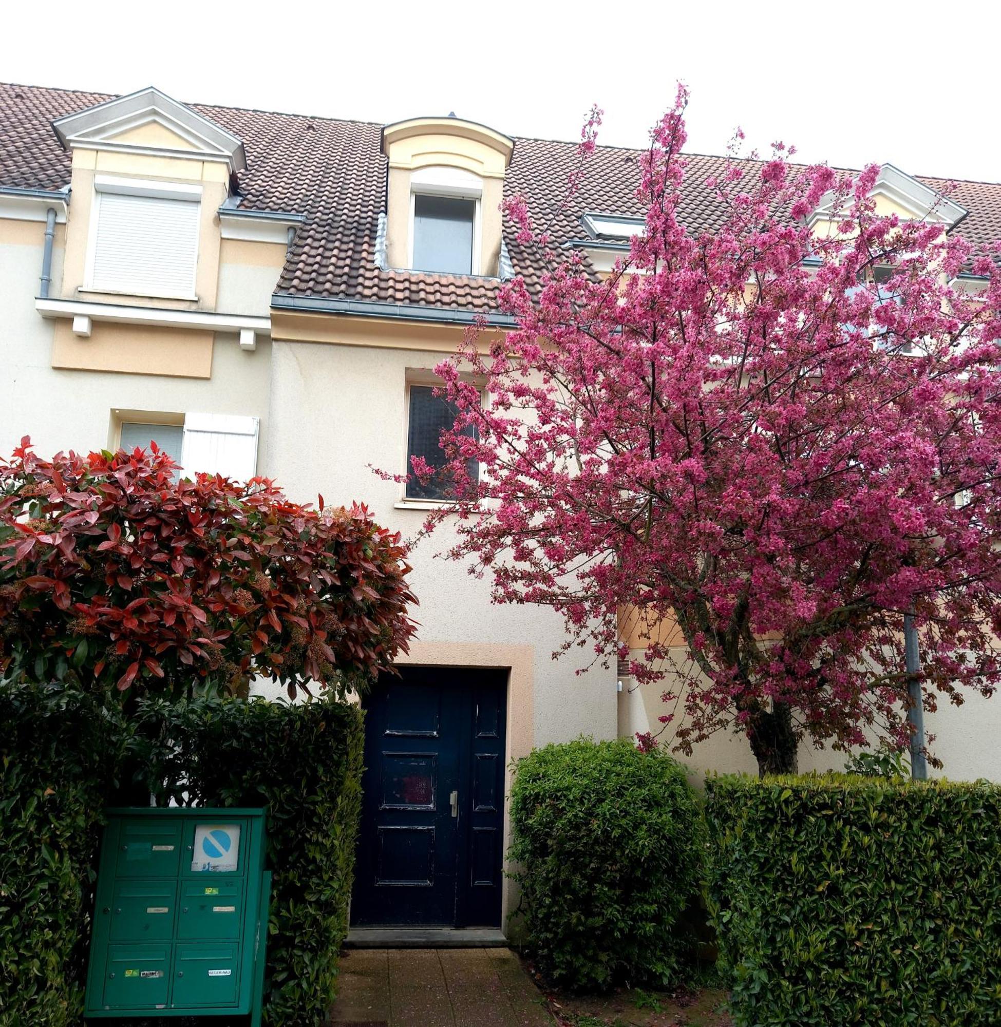 Location Chambre Double Dans Appartement - Cergy Exterior photo